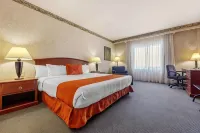 Quality Inn Monterrey la Fe - Pool