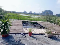 Tam Coc Rice Fields Homestay