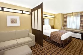 Microtel Inn & Suites by Wyndham Cartersville