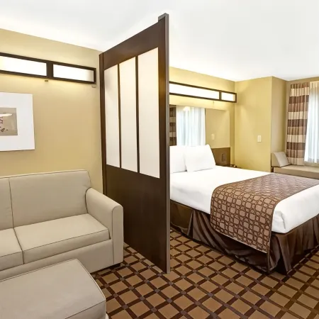 Microtel Inn & Suites by Wyndham Cartersville