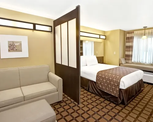 Microtel Inn & Suites by Wyndham Cartersville Hotels in Cartersville