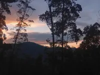Hidden Pine Ella Hotels in Ella