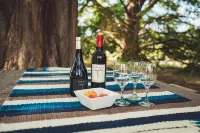 Hill Country Getaway - Cozy Stonewall Retreat Near Wineries & Fredericksburg