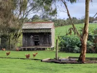 Colac Otway Caravan & Cabin Park Hotele w: Colac