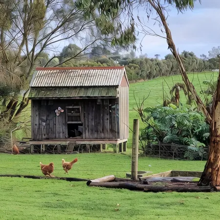 Colac Otway Caravan & Cabin Park