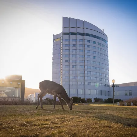 Surfeel Hotel Wakkanai