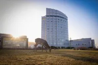 Surfeel Hotel Wakkanai