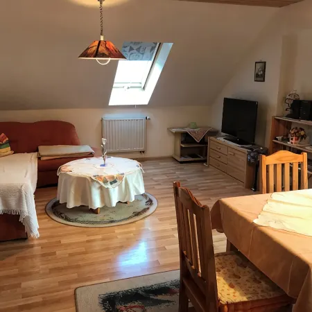 Comfortable apartment in the middle of the southern Black Forest