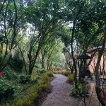 Wangjiang Homestay
