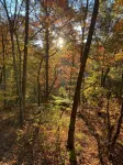 Cozy 2-bedroom cabin in awesome Blairsville with ac and wifi.