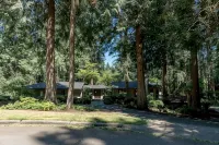 Bridle Trails Treehouse