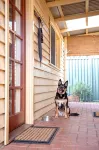 Gorgeous, pet friendly, family sized cottage in the perfect location. - บ้านพักหลังเล็ก