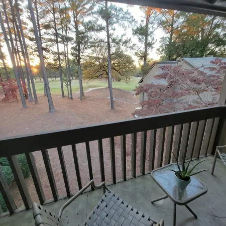 1 BR Condo overlooking 2nd green of Pinehurst #5