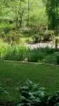 Sweet Suite 3 Minutes to  Dupont State Forest!  Take a Hike or Bring Your Bike! - Homestays