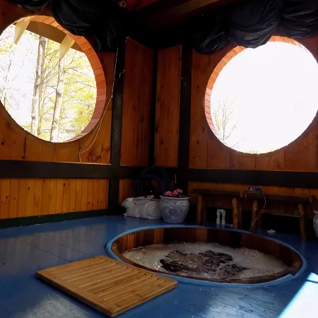 GLAMP BERNICE ON BEAUTIFUL ADIRONDACK HOBBY FARM Отели в г. Джонсберг