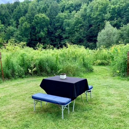 Glamping in the Catskills