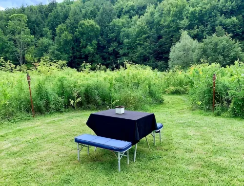 Glamping in the Catskills
