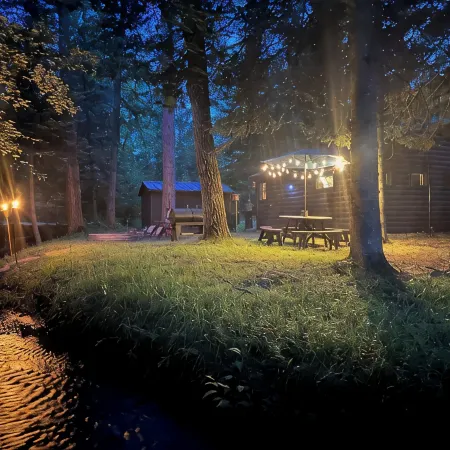 Cozy cabin with backyard stream close to Au Sable River and the best ATV trails