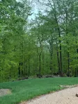 The Fox's Den at Burr Oak Lake - 3-Star