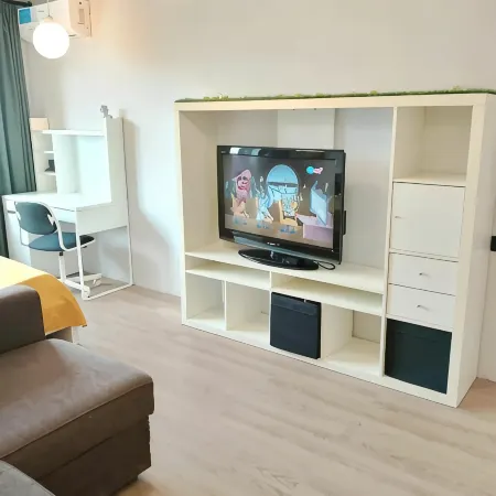 Odnokomnatnaya Ptichka Flat