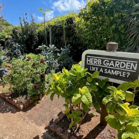 A Welcoming Beachfront 2BR/2BA, Vacation Home, W/D, AC, STEPS TO BEACH!