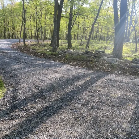 Secluded/Spacious Cabin with 5 Br, 5 Min to Resort "New Kitchen Coming 2026!