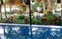 Rumah Kebun Lulu Villa - Villas
