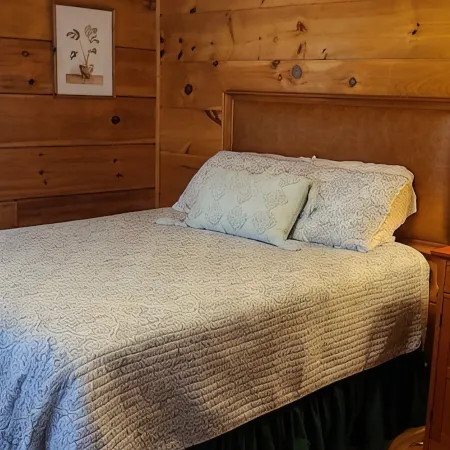 Cozy Cabin at The Reserve near Fairystone State Park Hotels in Patrick County
