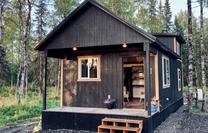 Private Kenai cabin near ocean/airport/fishing