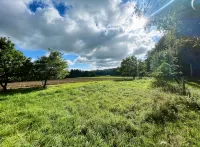 Prümzurlayer forest view - Alojamientos