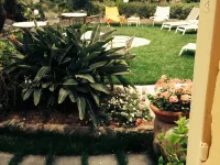 Hotel Miramare Hotels in Lavagna