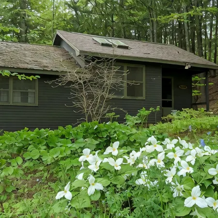 Quaint cottage on peaceful NH lake! Enjoy swimming, kayaking, and trails.