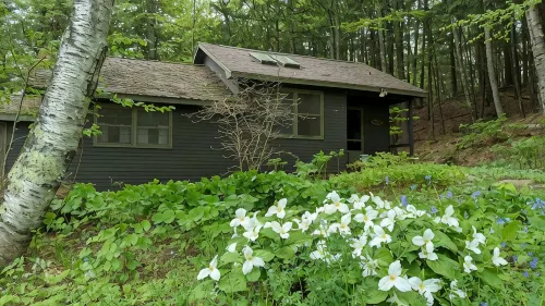 Quaint cottage on peaceful NH lake! Enjoy swimming, kayaking, and trails. - Alphydda