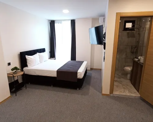 New Green Airport Hotel Photos