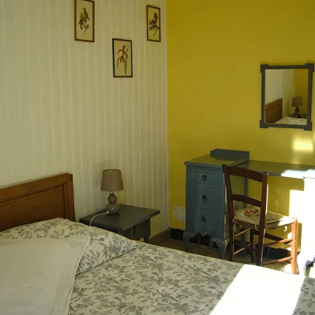 House 10 mn walk from the city center with shaded garden, olive trees.