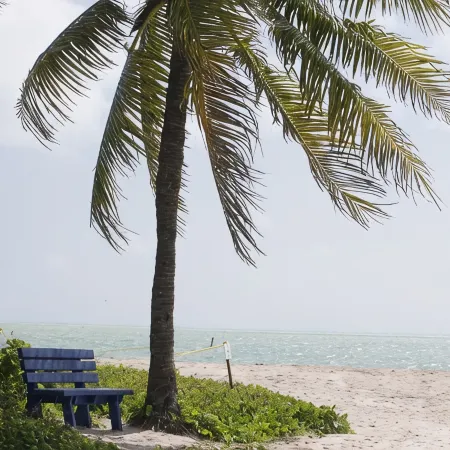 New listing 3bd/2bt Sleeps 8 "Sunset Paradise Villa" on canal Big Pine Key