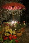 Country House, Lovingly Renovated in the Olive Grove, Large Panoramic Pool, Air Conditioning System