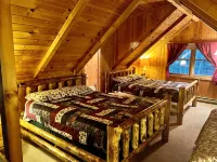 Camp Admore Cozy Cabin in ADK - Wifi