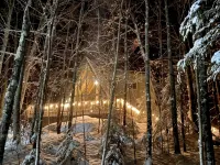 Apres’ Haus: Comfy A-Frame centrally located in Whitecap Village with fireplace - Chalets