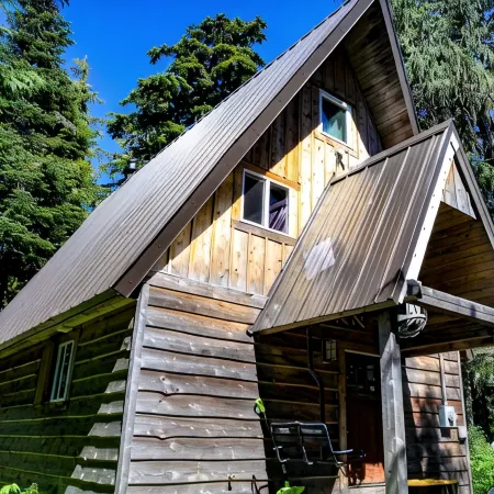 Amazing Government Camp Cabin Short Walk to SkiBowl or Downtown