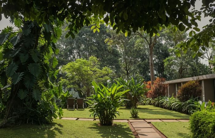 Kaliwa Lodge