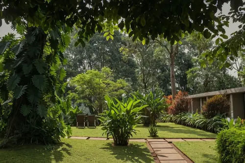 Kaliwa Lodge - Lodges