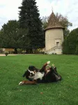 Chateau de Maumont - Pensions