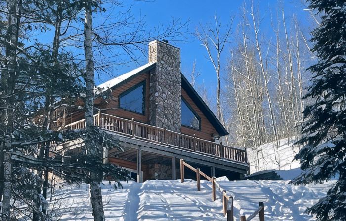 Log Cabin style lake house on Sea Lion Lake