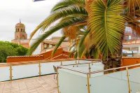 โรงแรม Hospedium El Nido de Alcudia Suites - สัตว์เลี้ยง