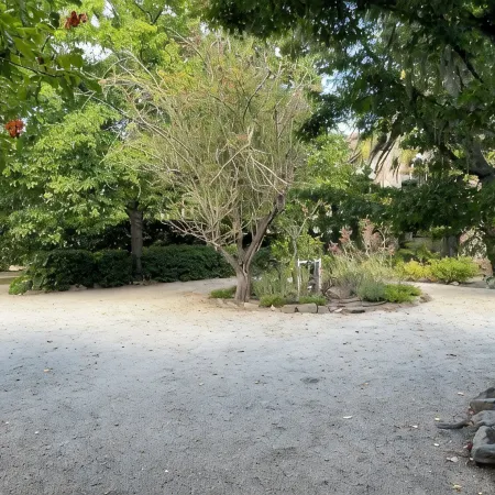 F.J. Massa House ~ Walk to Downtown Napa ~ Bocce Court