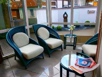 Hotel Am Braunen Hirsch - Pet friendly