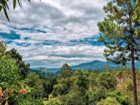 Velora Hill Ella | Panoramic Hilltop Stay #103 - Villas