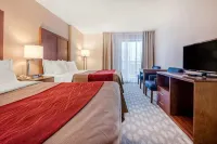Comfort Inn Fallsview - Kolam Renang