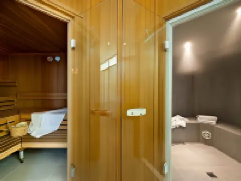 Hotel Schweizerhof St. Moritz Hotels in Saint Moritz